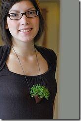 2203649646_72da6c2b15_m