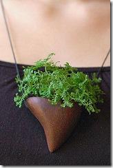 2202856589_1008722a4c_m