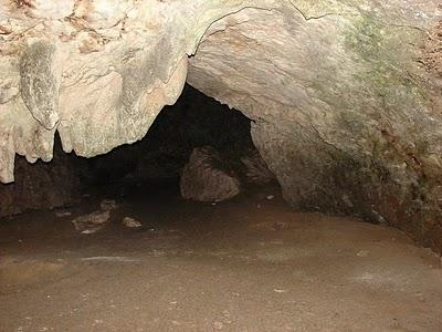 Bacteria desconocida hallada en cueva de República Dominicana interesa a la NASA