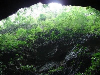 Bacteria desconocida hallada en cueva de República Dominicana interesa a la NASA