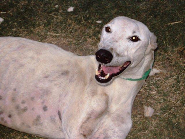 Un oasis en el desierto