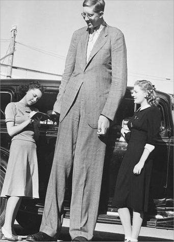 robert wadlow