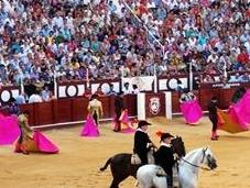 habrá debate sobre toros Parlamento andaluz