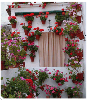 Inspiración. Flores en la ventana