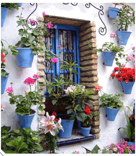 Inspiración. Flores en la ventana