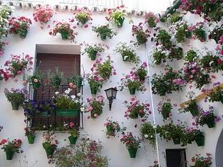 Inspiración. Flores en la ventana