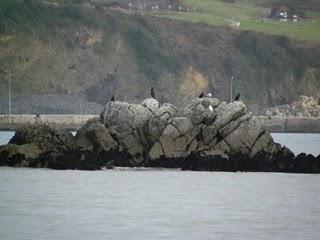 Una vuelta por Aramar