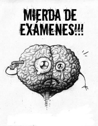 El examen como muestra del fracaso del sistema educativo