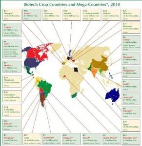 Cifras ISAAA Los cultivos transgénicos ya dominan el arte de la samba
