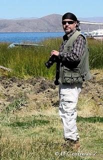 Premio Concurso fotográfico de la Fundación Estás Vivo – Categoría Rhea pennata garleppi (Ñandú andino)