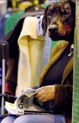 El momento correcto y el ángulo correcto