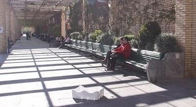 Plantas, arquitectura y jardines verticales