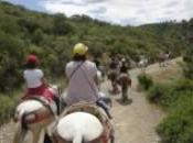 caballo Sierra Cardeña