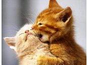 John Gottman: errores claves éxito parejas felices