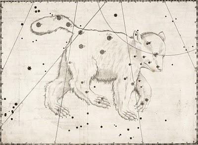 Constelaciones: Ursa Major