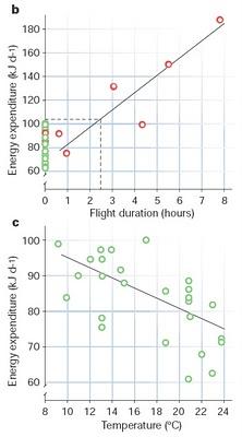 Migrar o quedarse quieto, esa es la cuestión