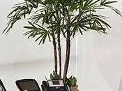 Resiste Brasil reconocer gobierno Honduras