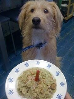 ¡¡¡ FELIZ CUMPLEAÑOS,  'INMYSHOES' !!!