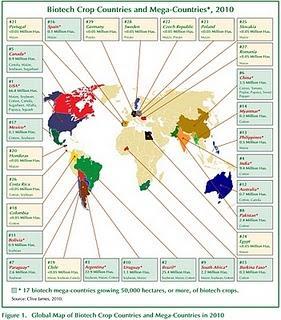 Transgénicos: Cosecha del 2010