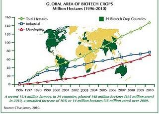 Transgénicos: Cosecha del 2010