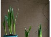 Decora unos botes para flores