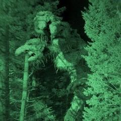 The Troll Hunter (Trolljegeren, André Øvredal, 2010) The Troll Hunter (Trolljegeren, André Øvredal, 2010)