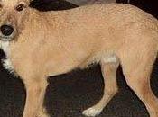 Sólo pide tres semanas