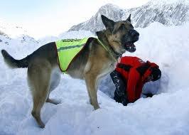 Donde fueres …. haz lo que vieres