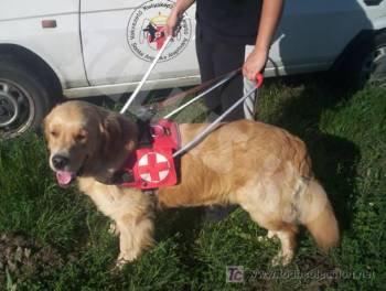 Donde fueres …. haz lo que vieres