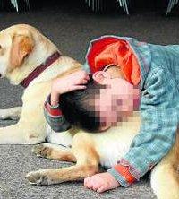 Donde fueres …. haz lo que vieres