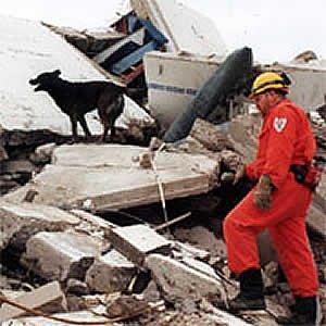 Donde fueres …. haz lo que vieres