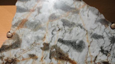 Bacterias y esos pequeños detalles.