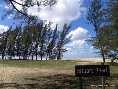 SUDAFRICA: EL PARQUE DEL HUMEDAL DE SANTA LUCÍA