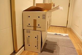 Ya han venido_Ya están aquí: Mercado de Bulbos II