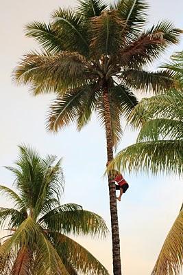 Instantáneas de Venezuela