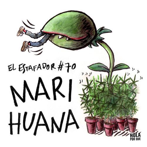 El Estafador #70, Marihuana