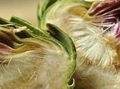 Alimentos prebióticos