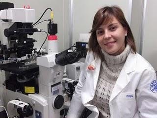 Clonando vacas para producir medicamentos