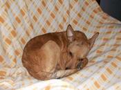 Murphy, intentaron matar palos