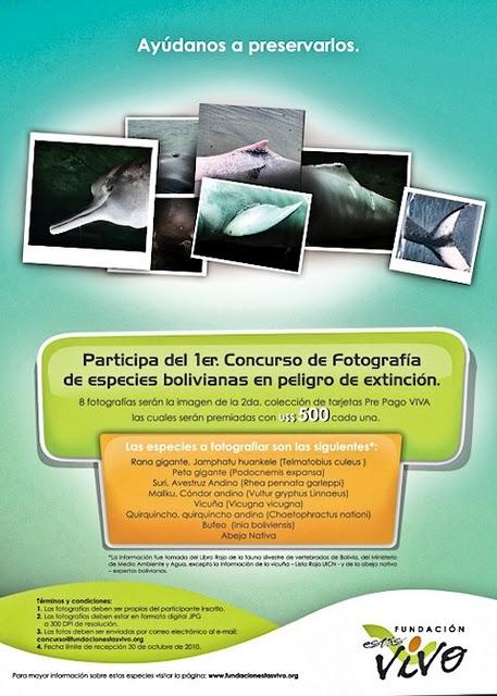 Premio Concurso fotográfico de la Fundación Estás Vivo – Especies en Peligro de Extinción - Categoría Rhea pennata garleppi (Ñandú andino)