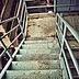 Escaleras pá fumar fumar003.jpg
