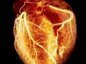 Newborn mice mend broken heart