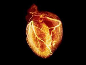 Newborn mice can mend a broken heart