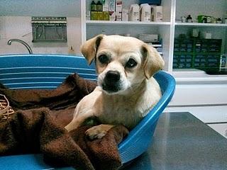 SOR ESTÁ VIVO DE MILAGRO. ALCAUDETE (JAÉN)