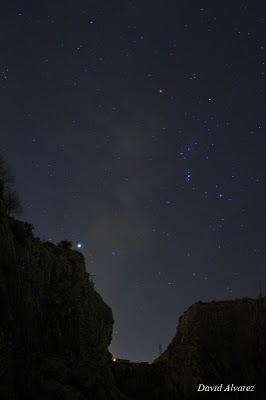 Sapos parteros mas acá de Orión