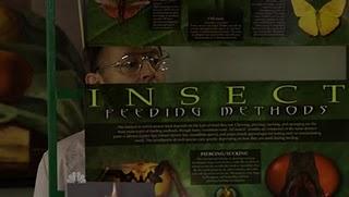 7 imágenes, 7 series (LXIII)