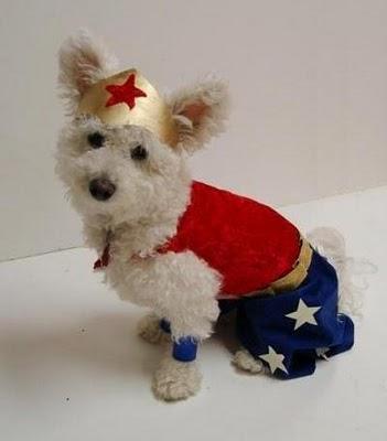 Mageritdoll: Wonder Woman, Moda y Fantasía en la Tienda Woman XL