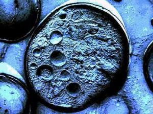 celula-madre Las células madres serán el futuro para combatir el envejecimiento