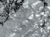 Invisible