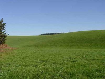 Una Pradera o Trigal